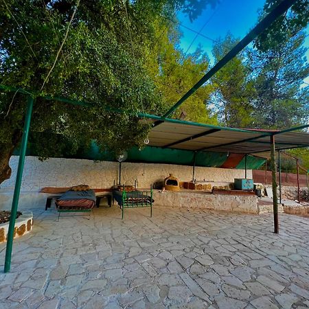 Oak Farm مزرعة الملّول Guest House ‘Ajlūn Exterior foto