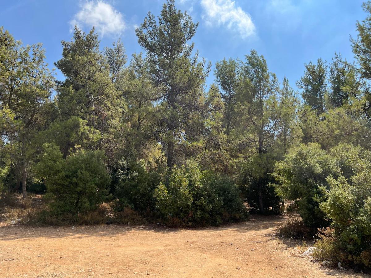 Oak Farm مزرعة الملّول Guest House ‘Ajlūn Exterior foto