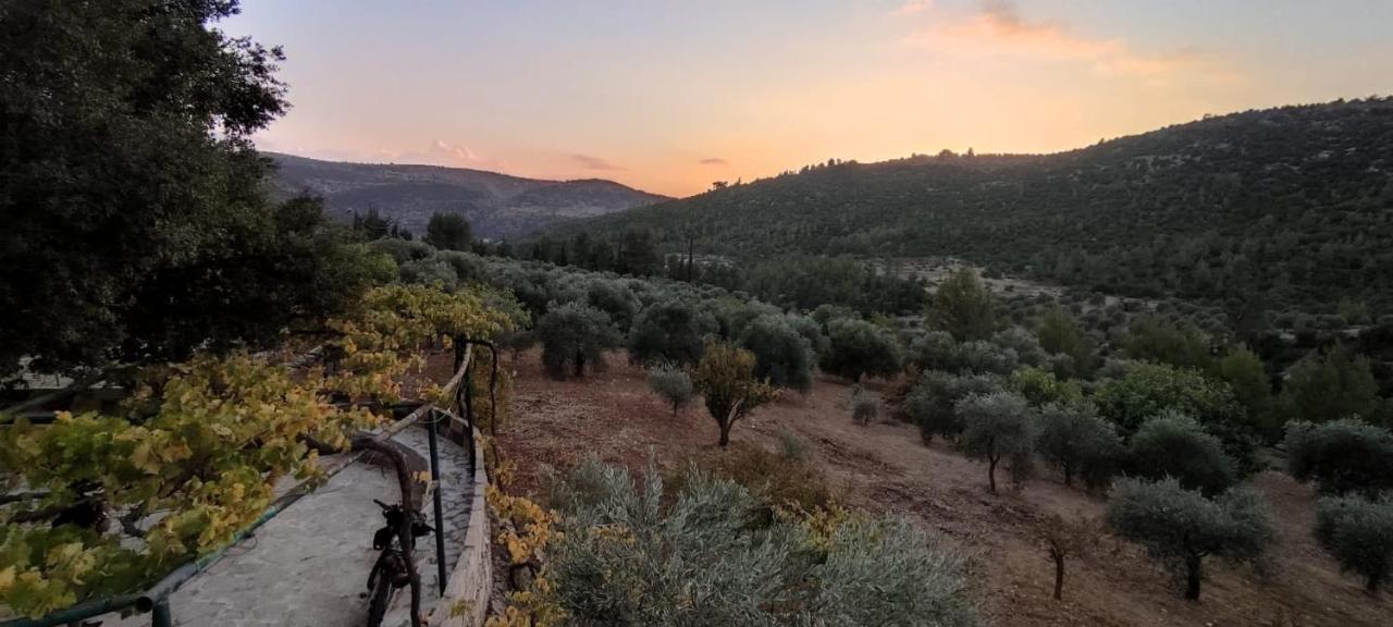 Oak Farm مزرعة الملّول Guest House ‘Ajlūn Exterior foto