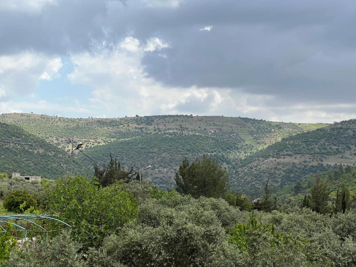 Oak Farm مزرعة الملّول Guest House ‘Ajlūn Exterior foto