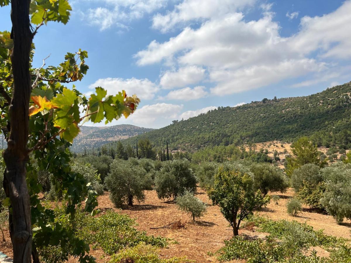 Oak Farm مزرعة الملّول Guest House ‘Ajlūn Exterior foto