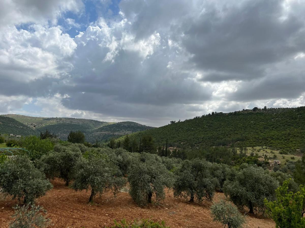 Oak Farm مزرعة الملّول Guest House ‘Ajlūn Exterior foto